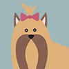 yorkie icon